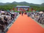 青島專業(yè)慶典禮儀策劃服務(wù) 點(diǎn)亮城市盛會(huì)，演繹品牌魅力